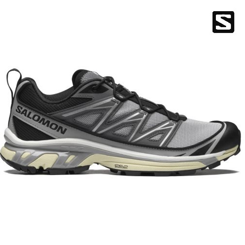 Tenis Salomon Xt-6 Expanse Feminino Cinzentas | PT D84529